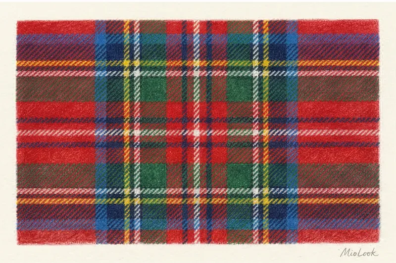 Tartan - what kind of fabric is it, its types, and what to wear it with